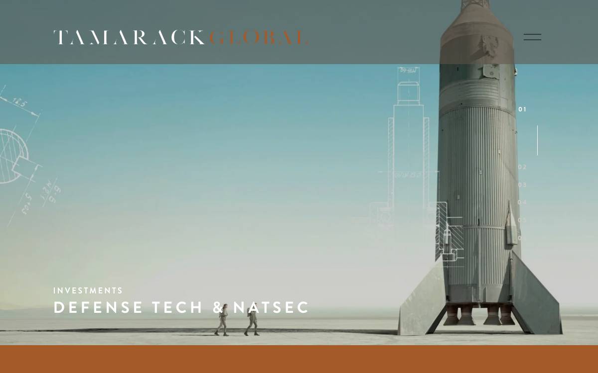 Tamarack Global website preview
