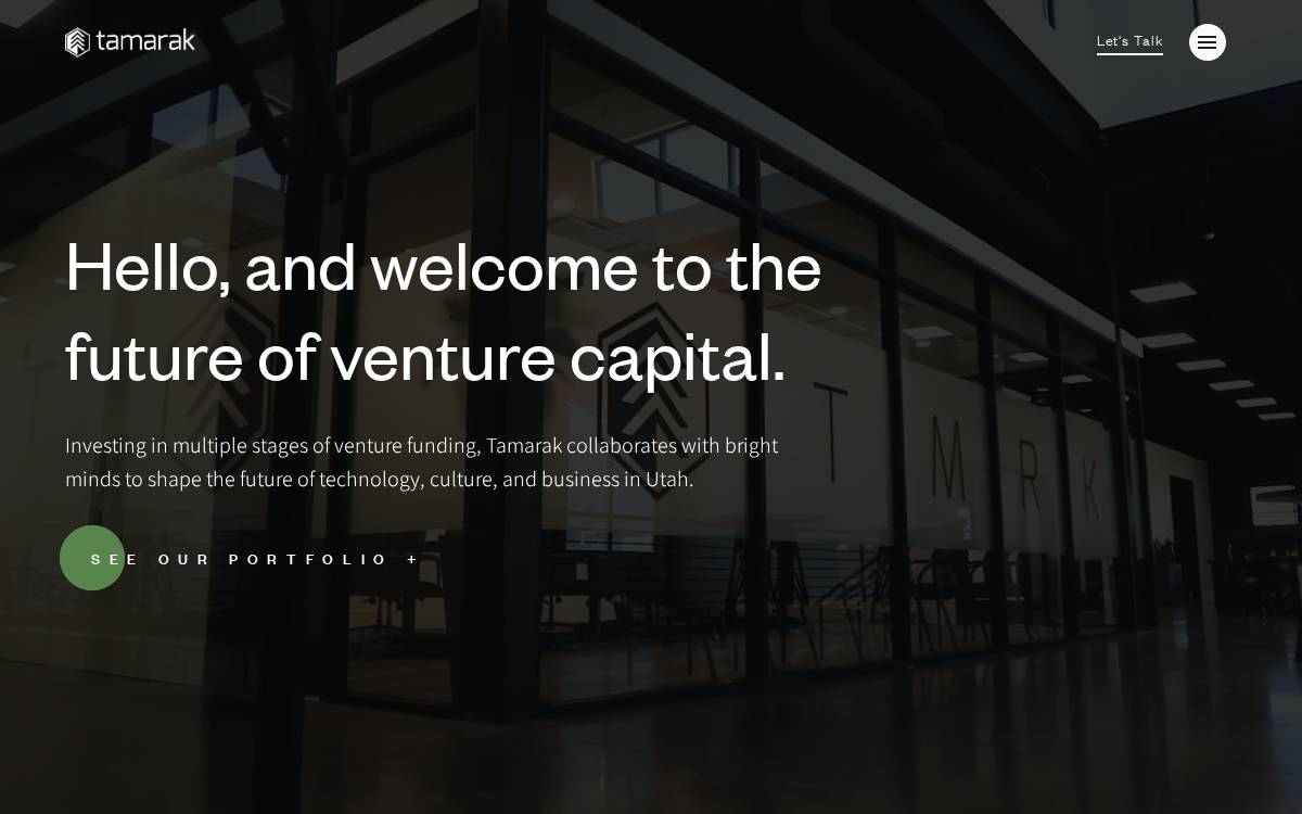 Tamarak Capital website preview