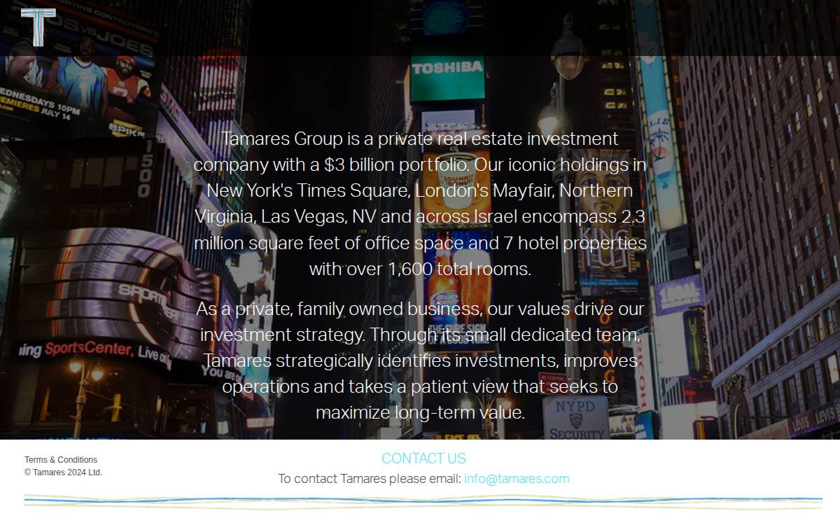 Tamares website preview