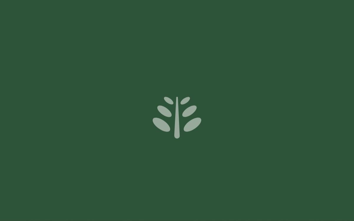 Tamarind Hill website preview