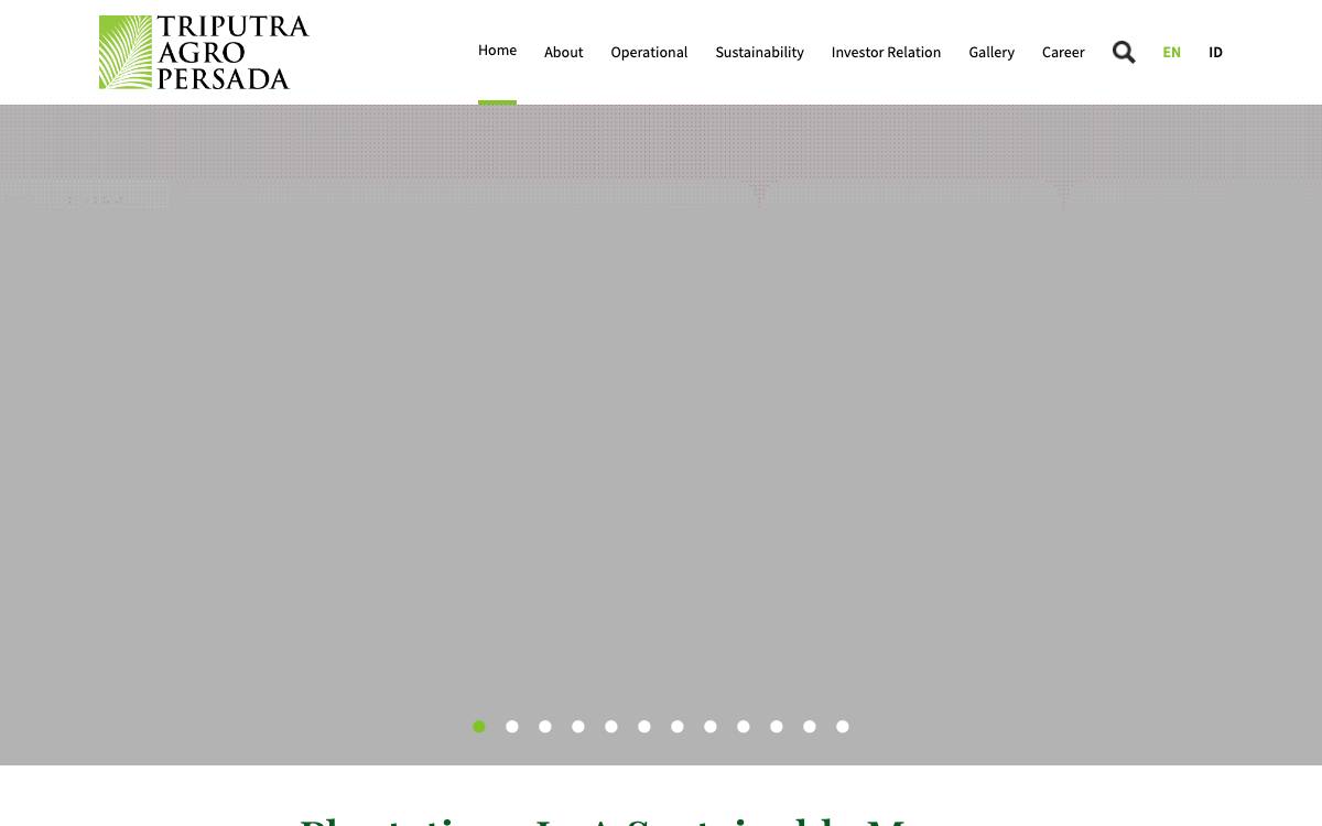 TAP Group website preview