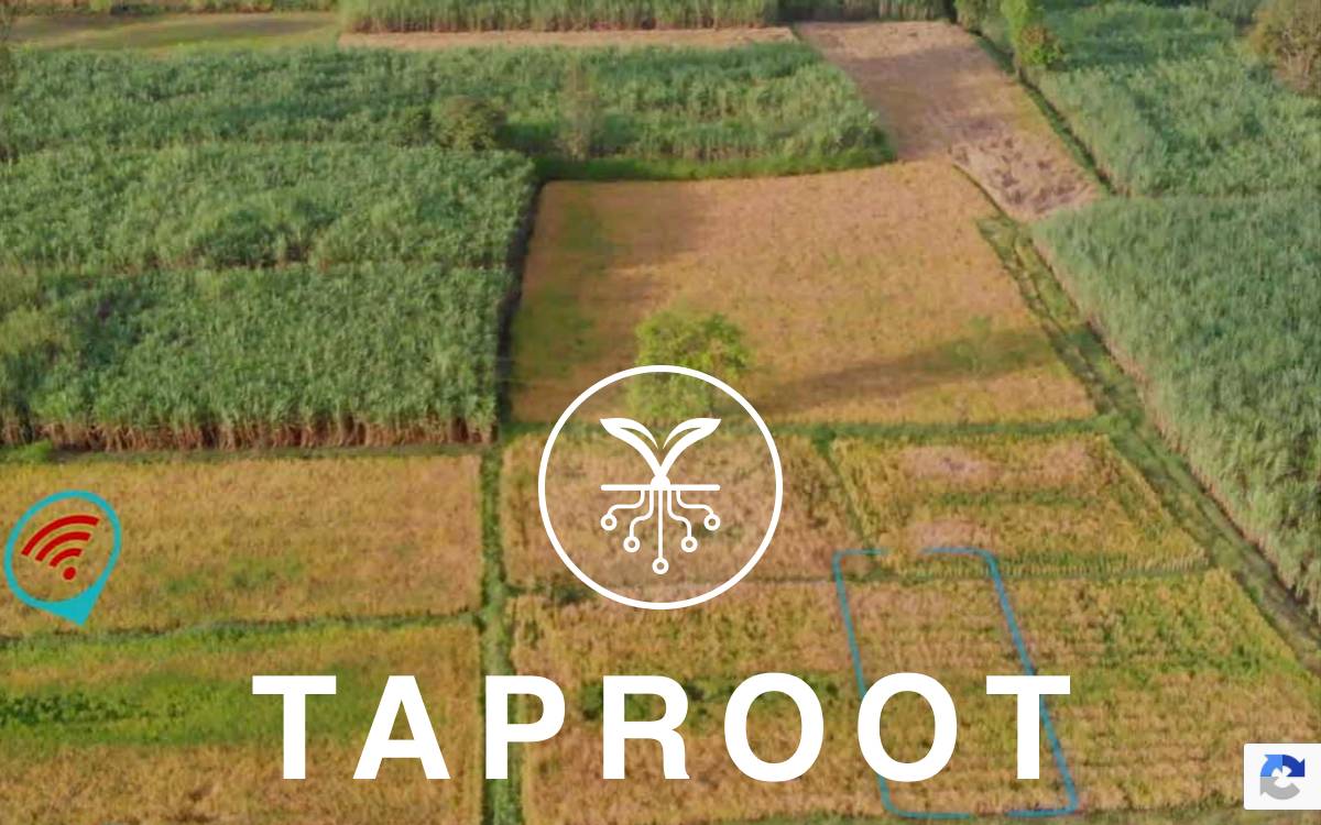 Taproot Venture Partners website preview