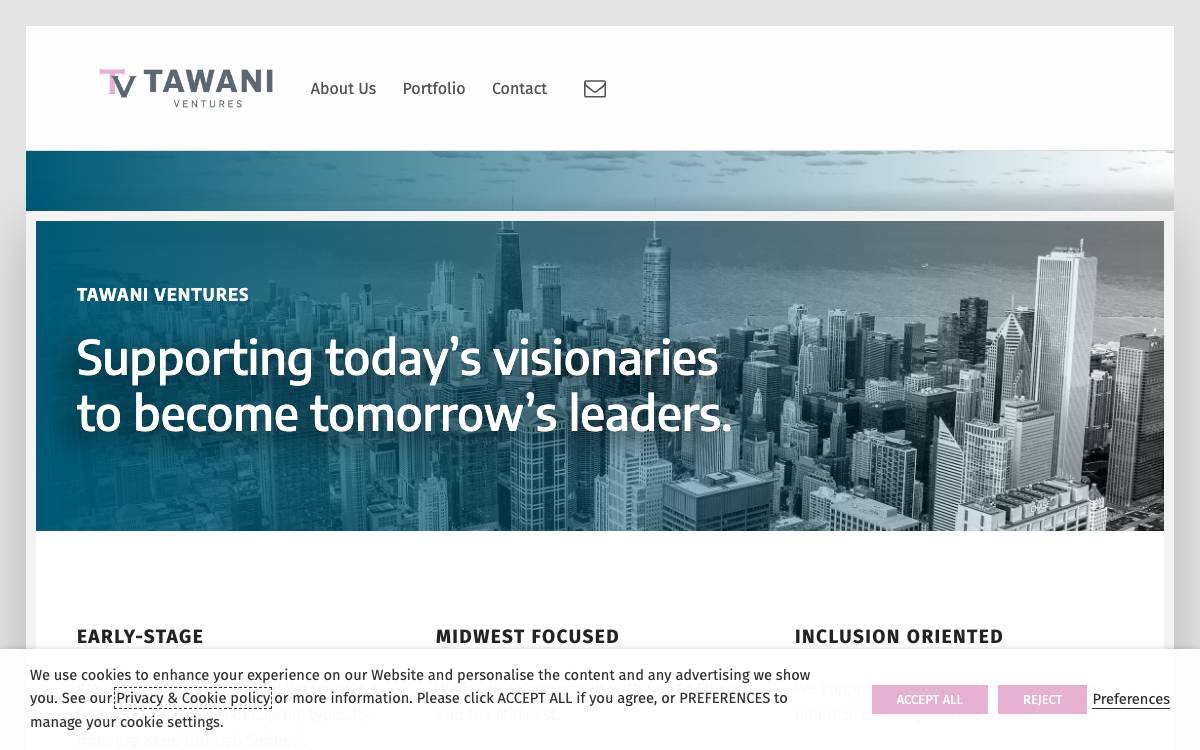 TAWANI Ventures website preview