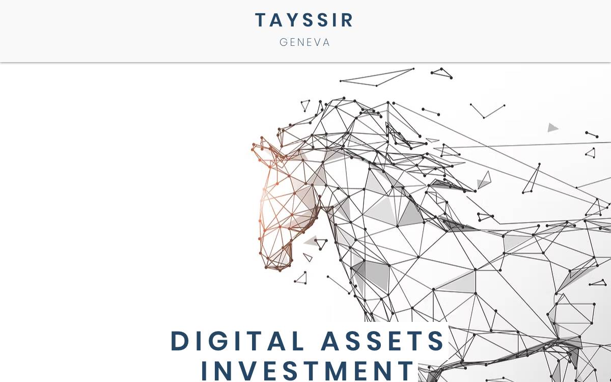 Tayssir Capital website preview