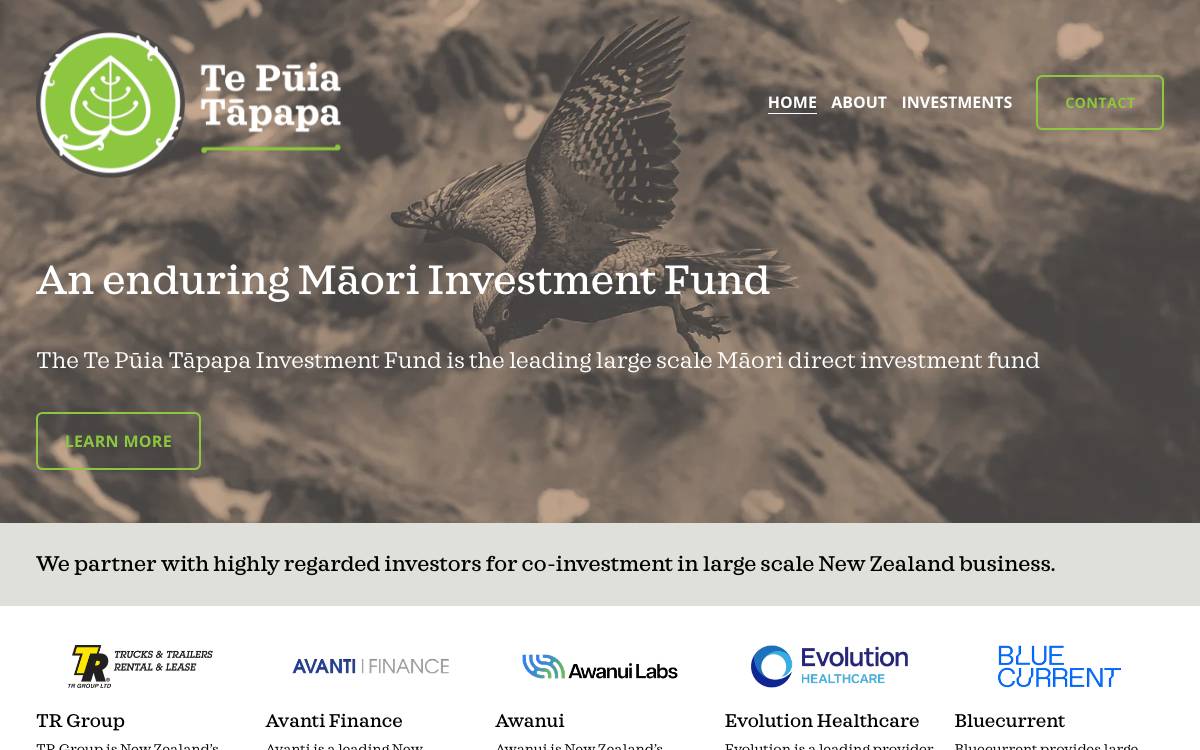 Te Pūia Tāpapa website preview