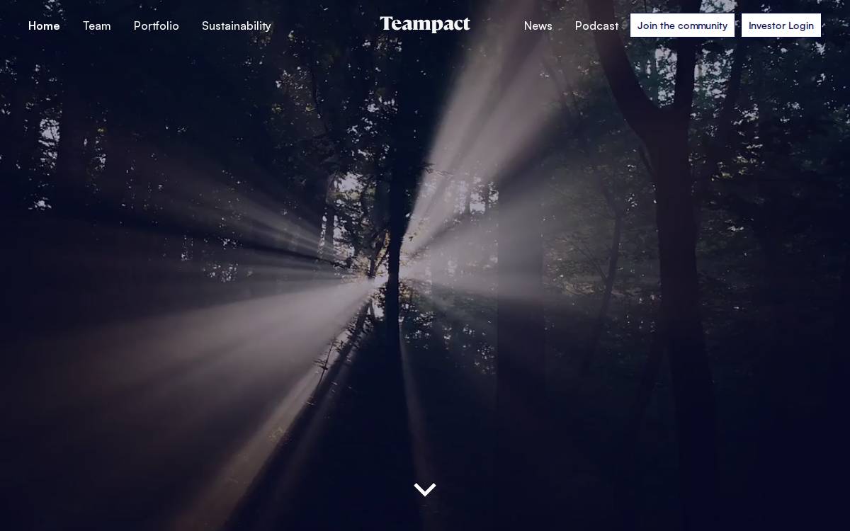 Teampact.ventures website preview