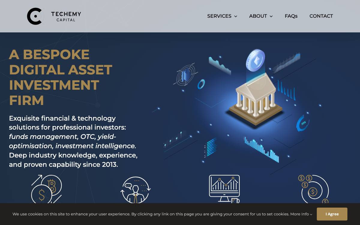 Techemy Capital website preview
