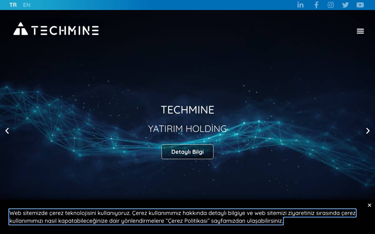 Techmine Gsyo website preview
