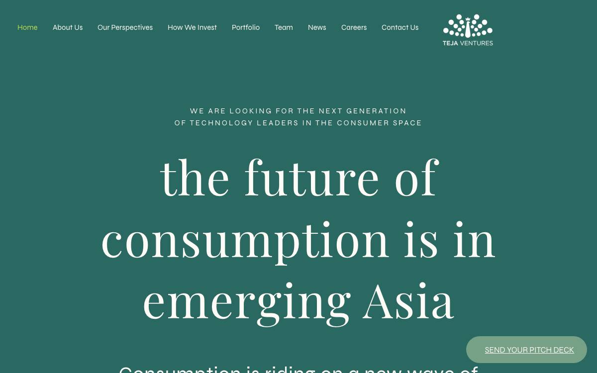 Teja Ventures website preview