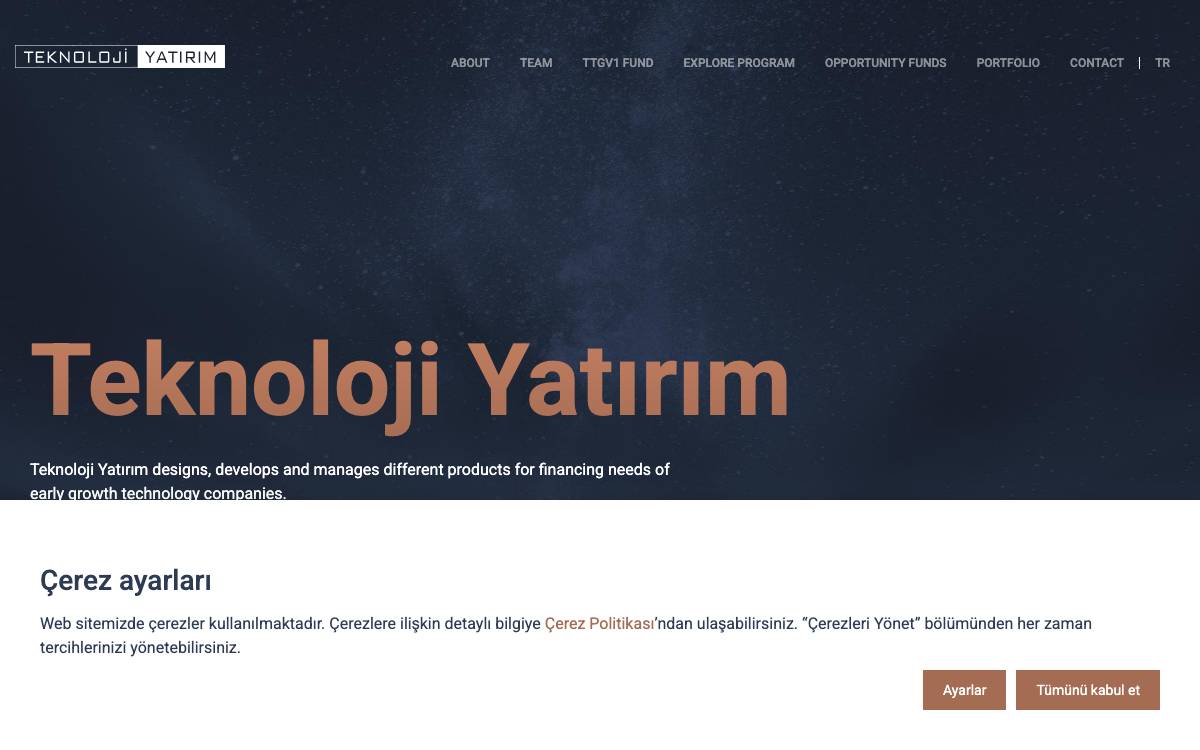 Teknoloji Yatirim website preview