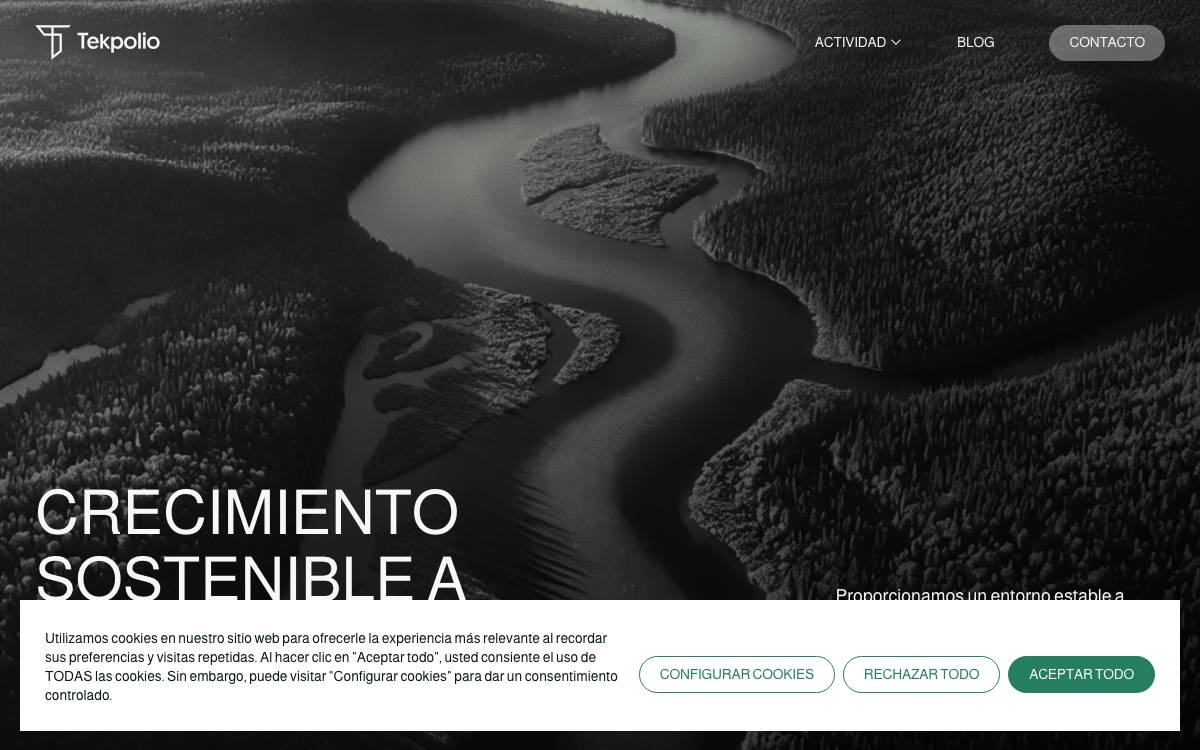 Tekpolio website preview