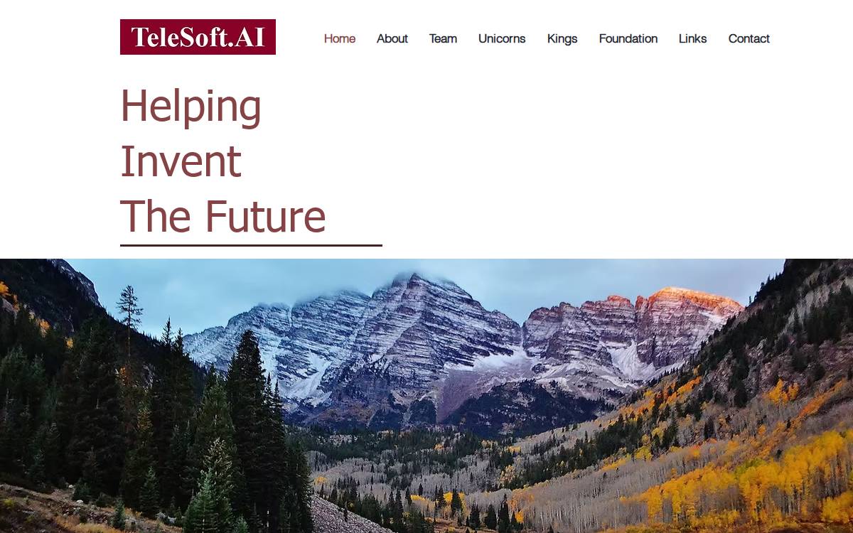 TeleSoft Partners website preview