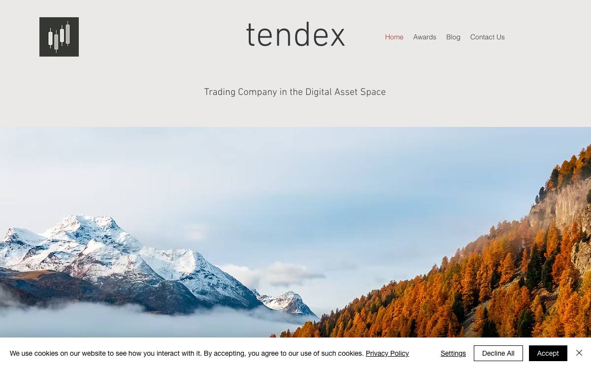 tendex website preview
