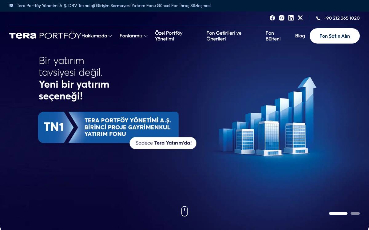 Tera Portfoy website preview