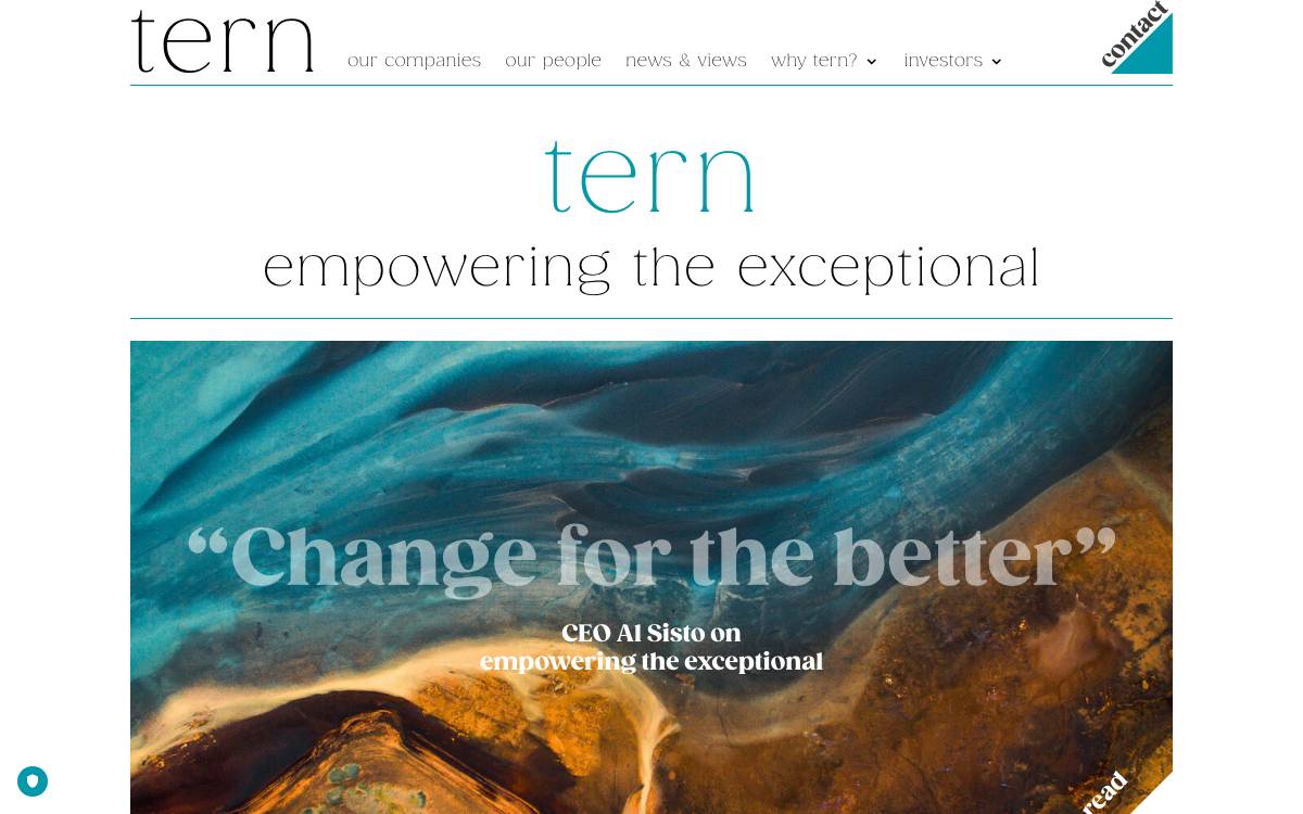 Tern website preview