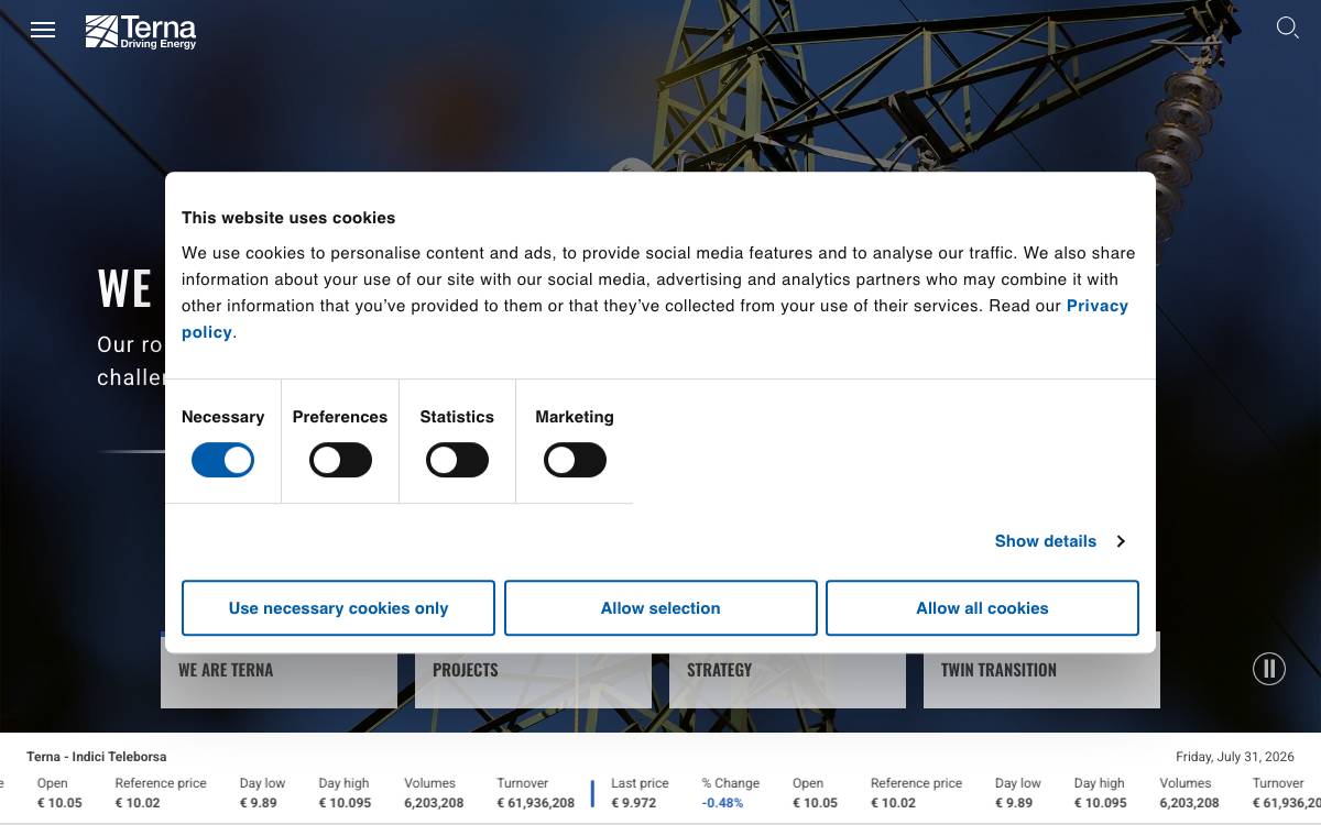Terna Forward website preview