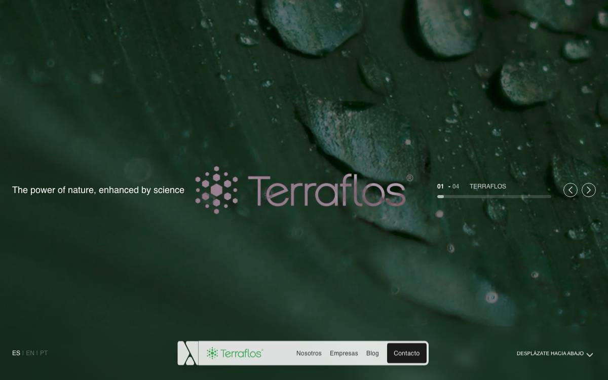 Terraflos Inc. website preview
