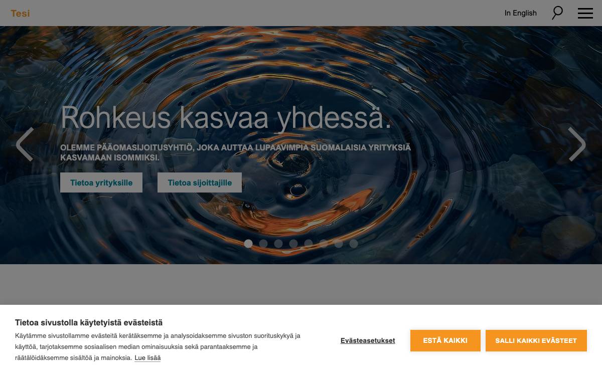 Tesi (Finnish Industry Investment Ltd) website preview