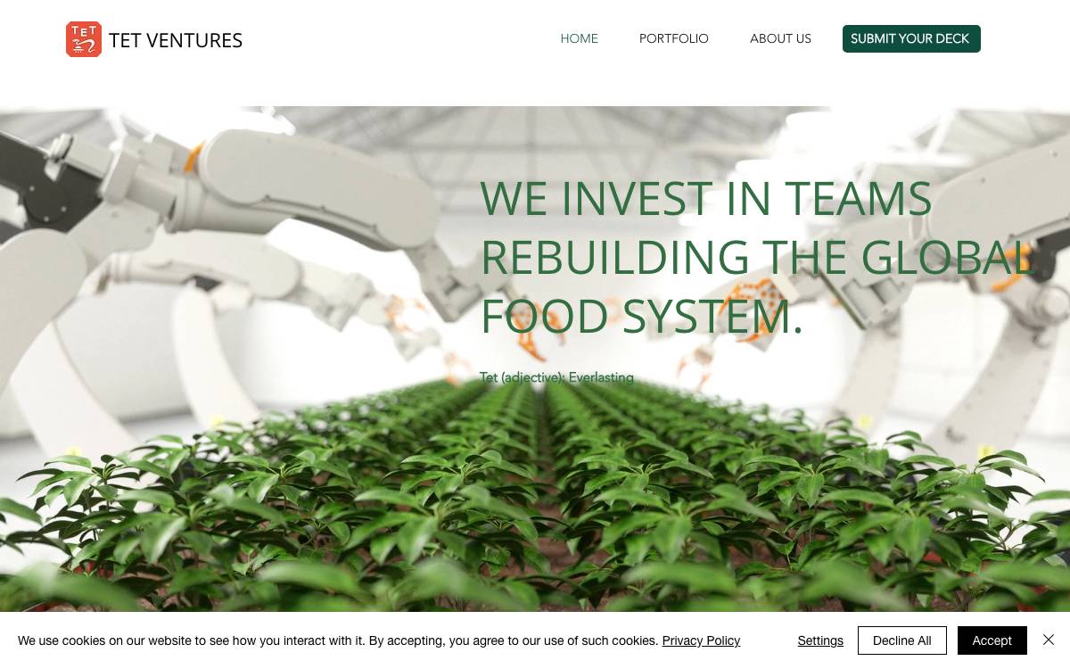 Tet Ventures website preview
