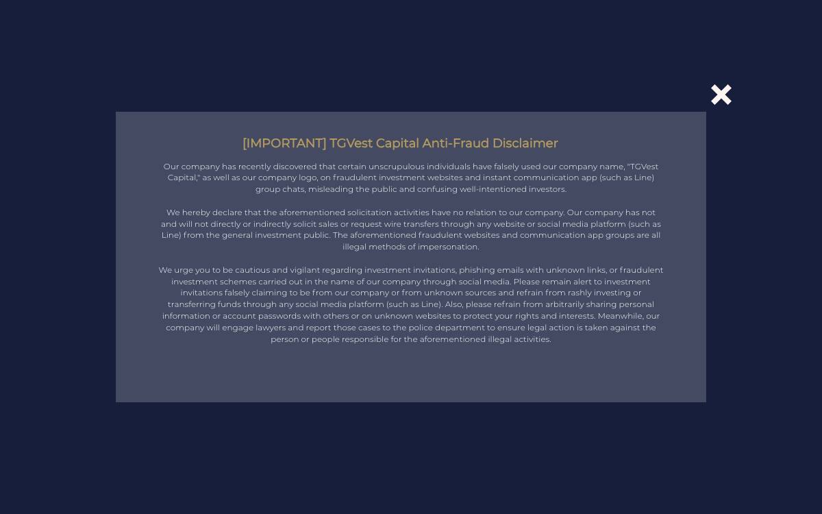 TGVest Capital website preview