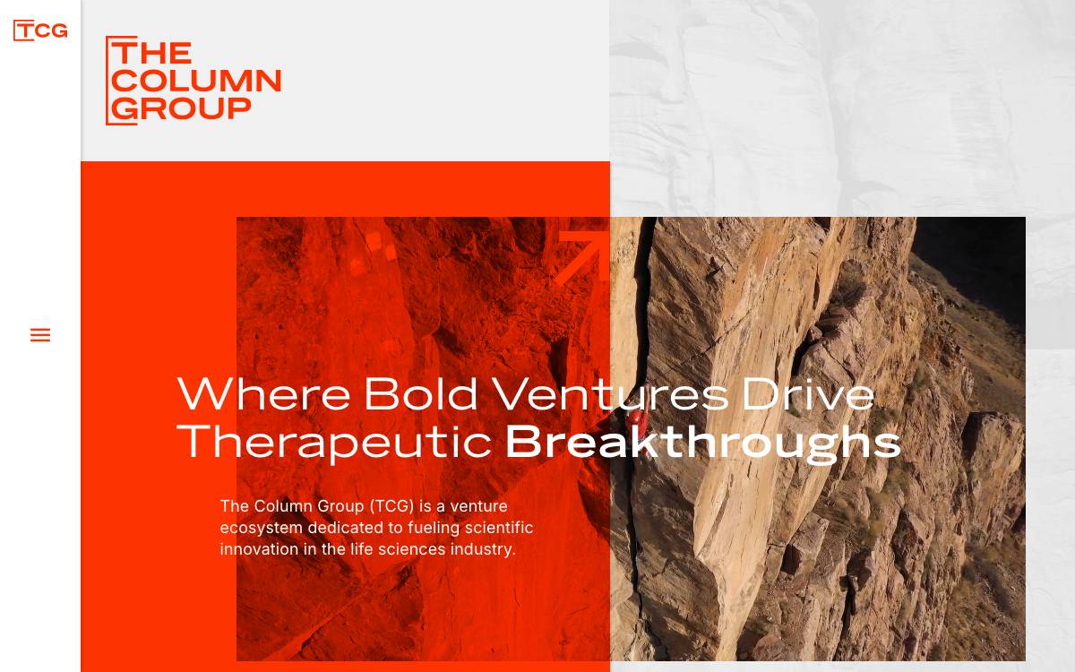 The Column Group website preview