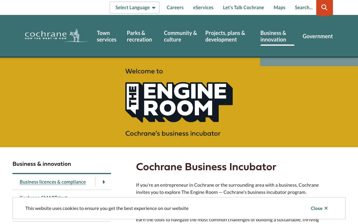 The Engine Room website preview