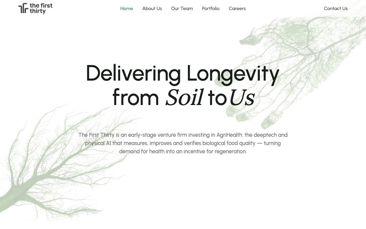 The First Thirty website preview