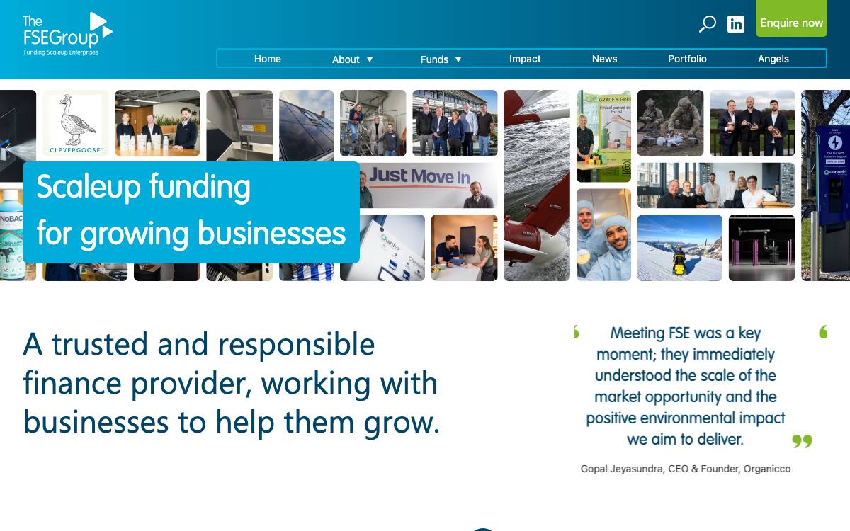 The FSE Group website preview