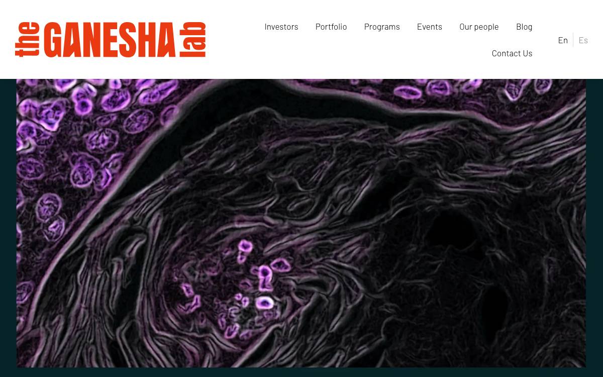 The Ganesha Fund website preview