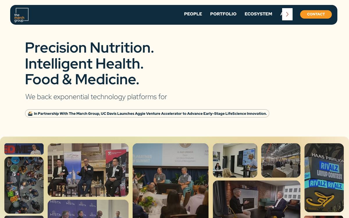 The March Group website preview