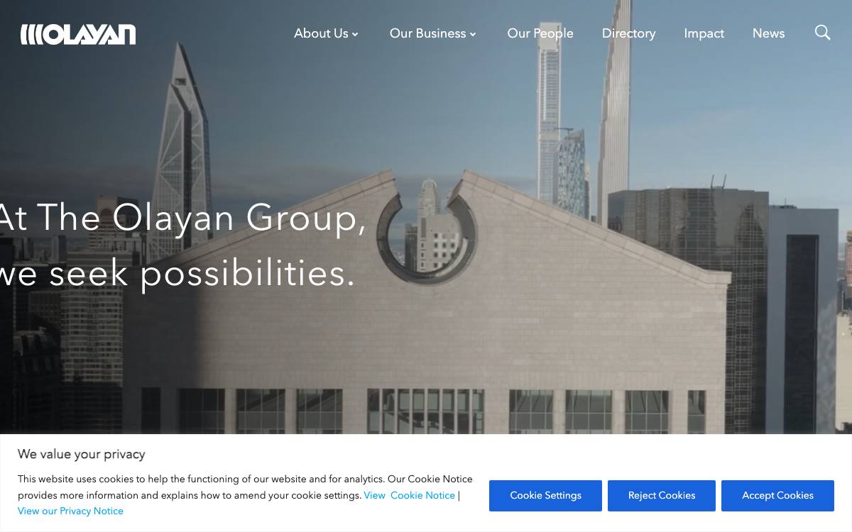 The Olayan Group website preview