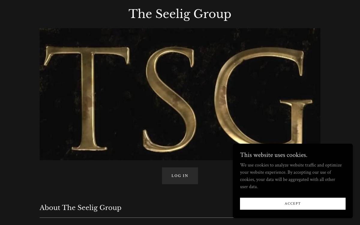 The Seelig Group (TSG) website preview