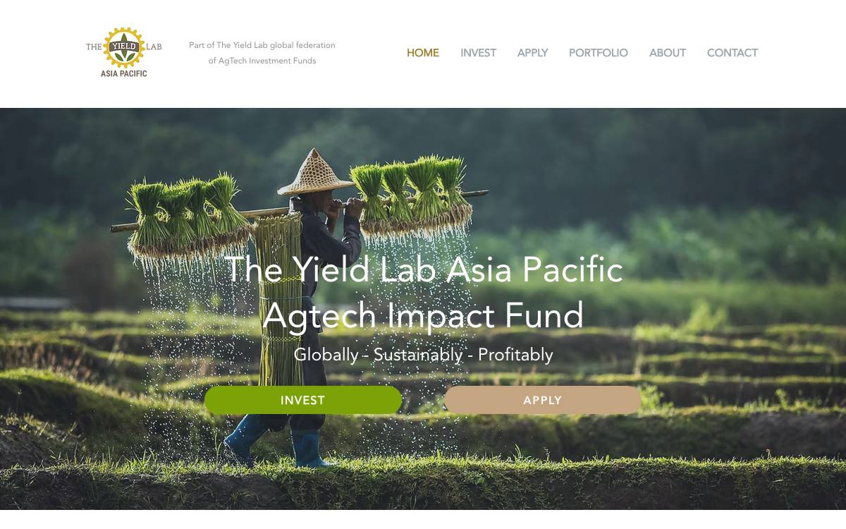 The Yield Lab Asia Pacific website preview