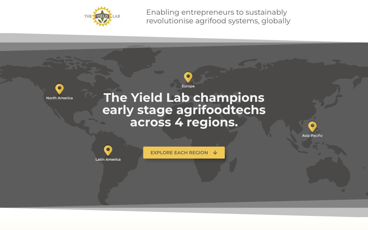 The Yield Lab website preview