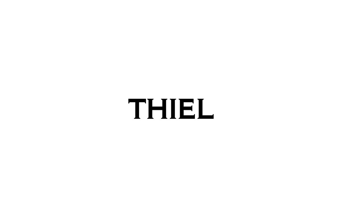 Thiel Capital website preview