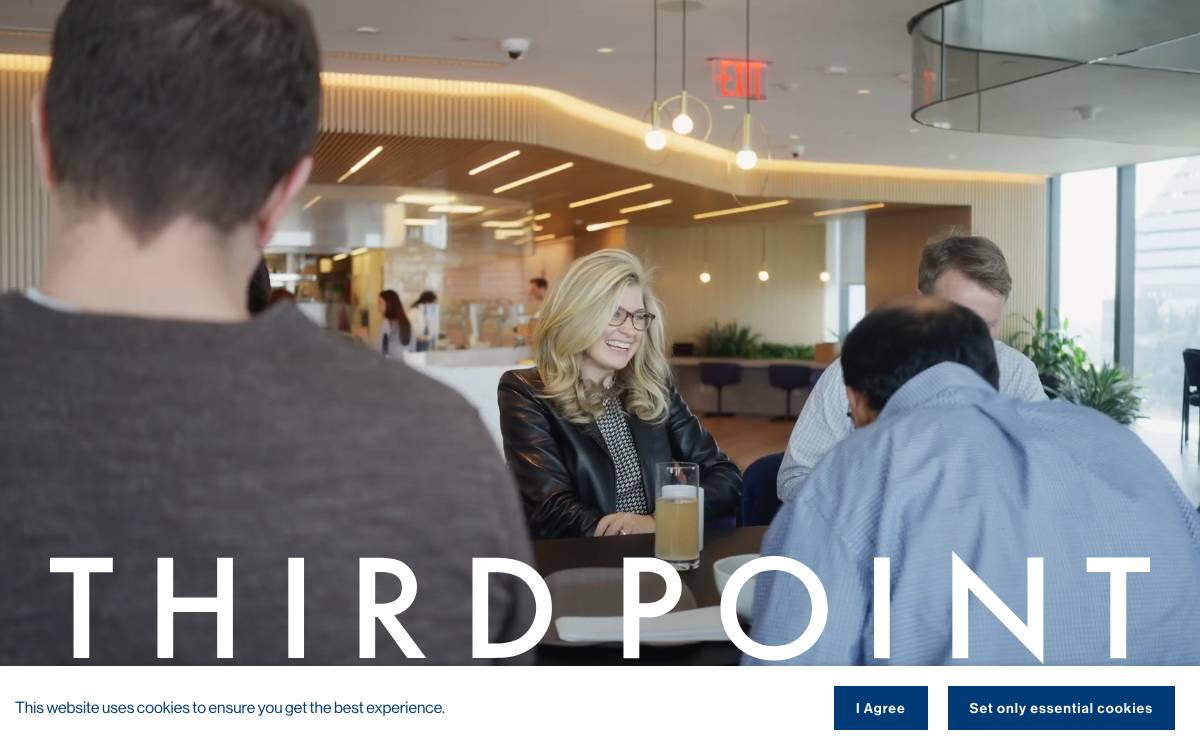 Third Point website preview