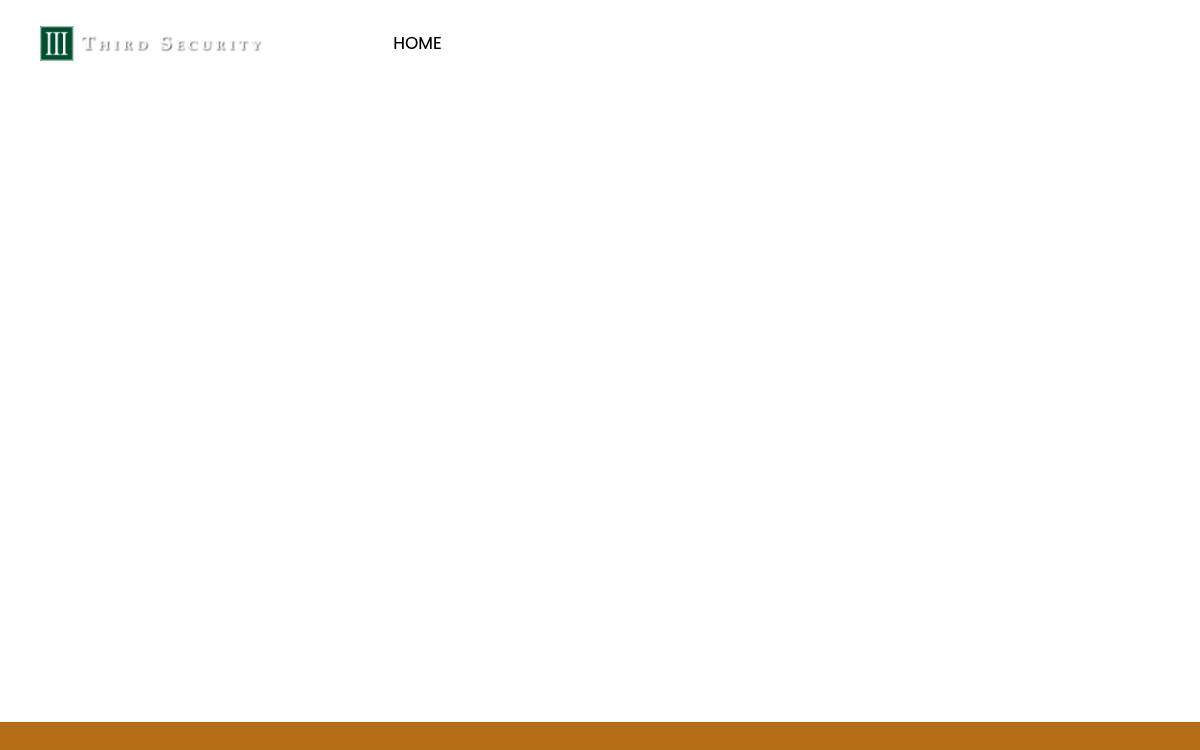 Third Security, LLC website preview