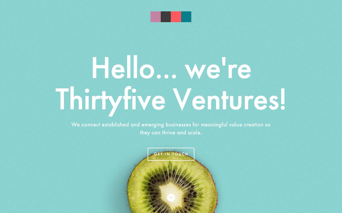Thirty Five Ventures website preview