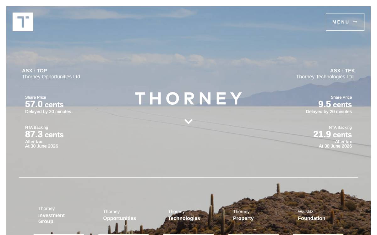 Thorney Investment Group website preview