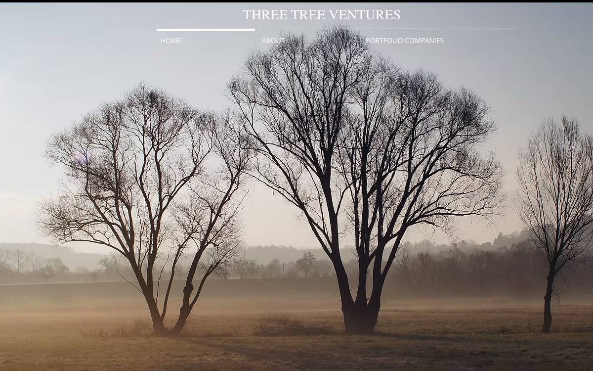 Three Tree Ventures website preview