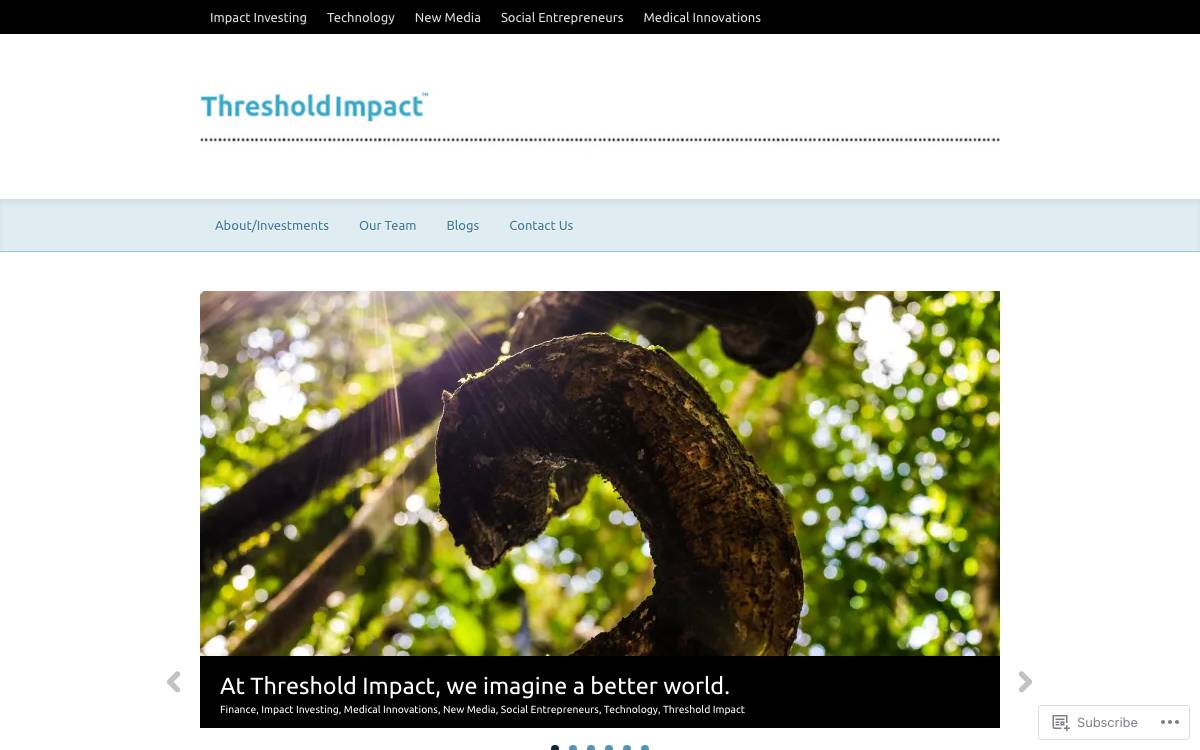 Threshold Impact website preview