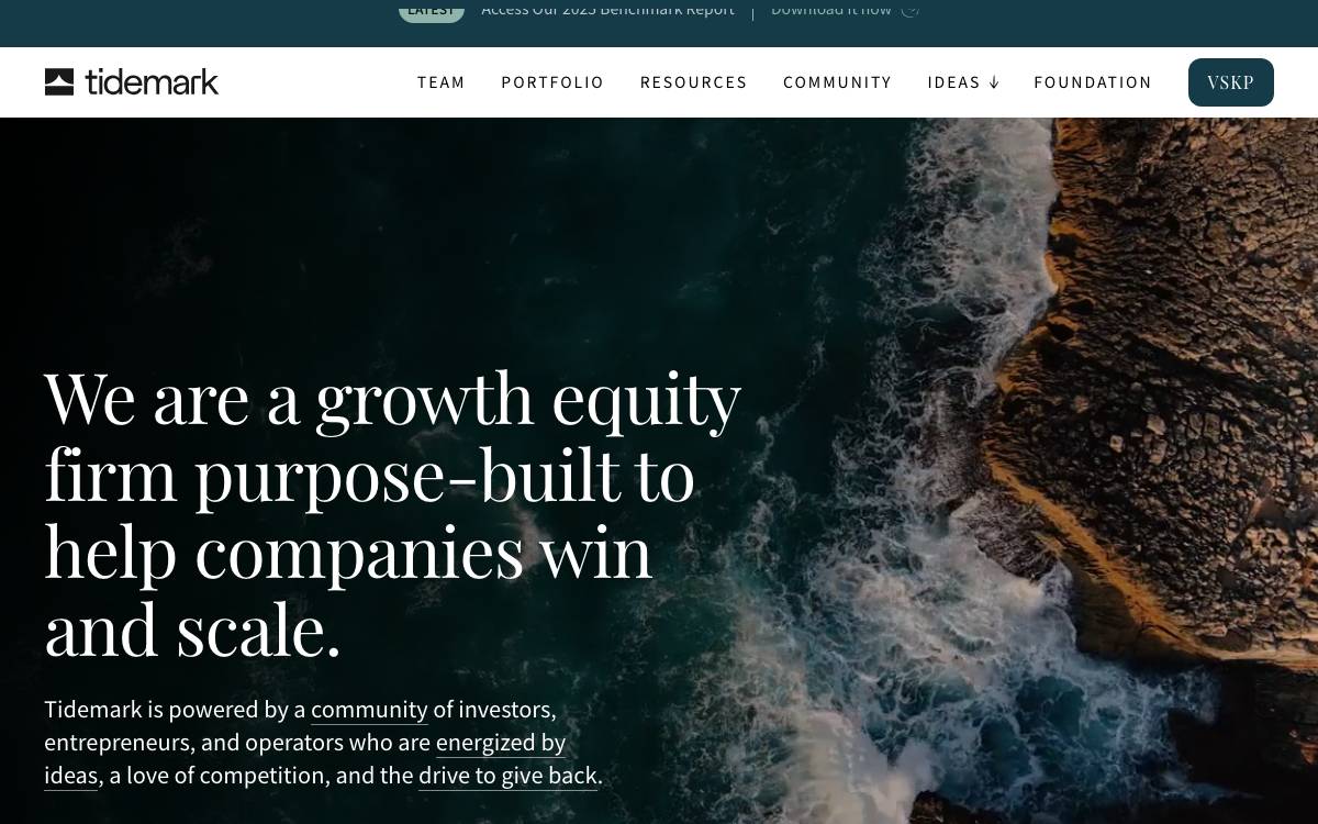 Tidemark website preview
