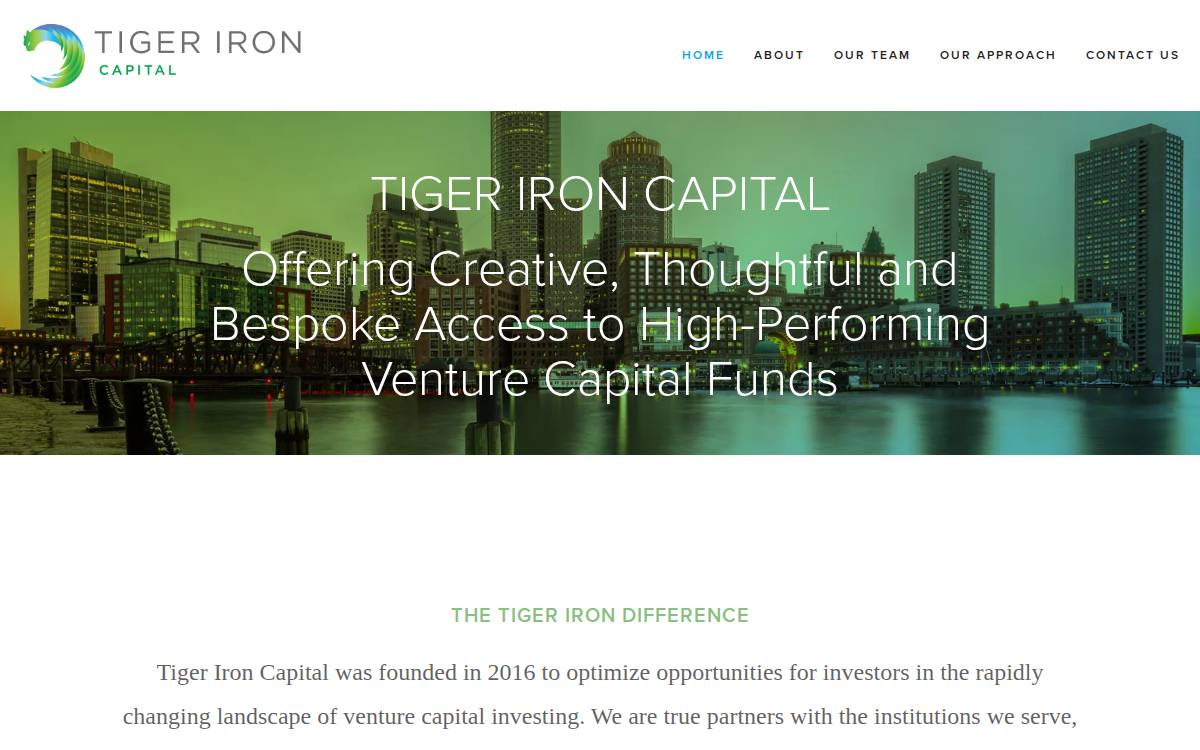 Tiger Iron Capital website preview