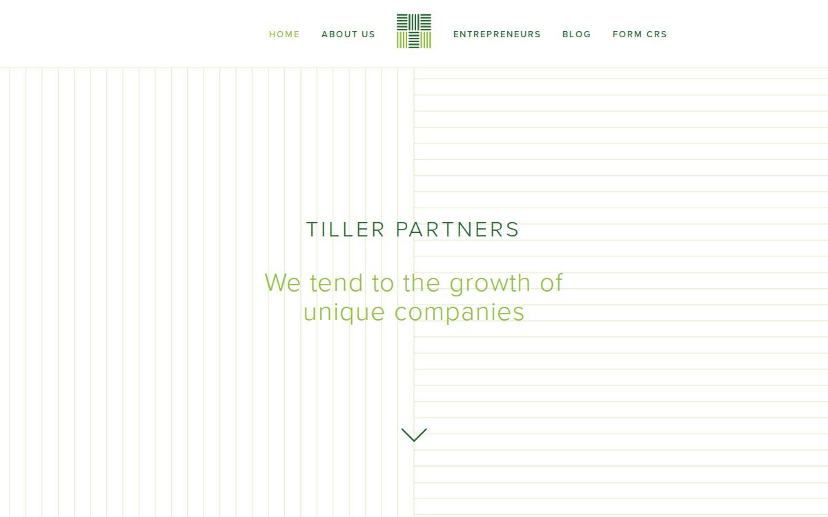 Tiller Partners website preview