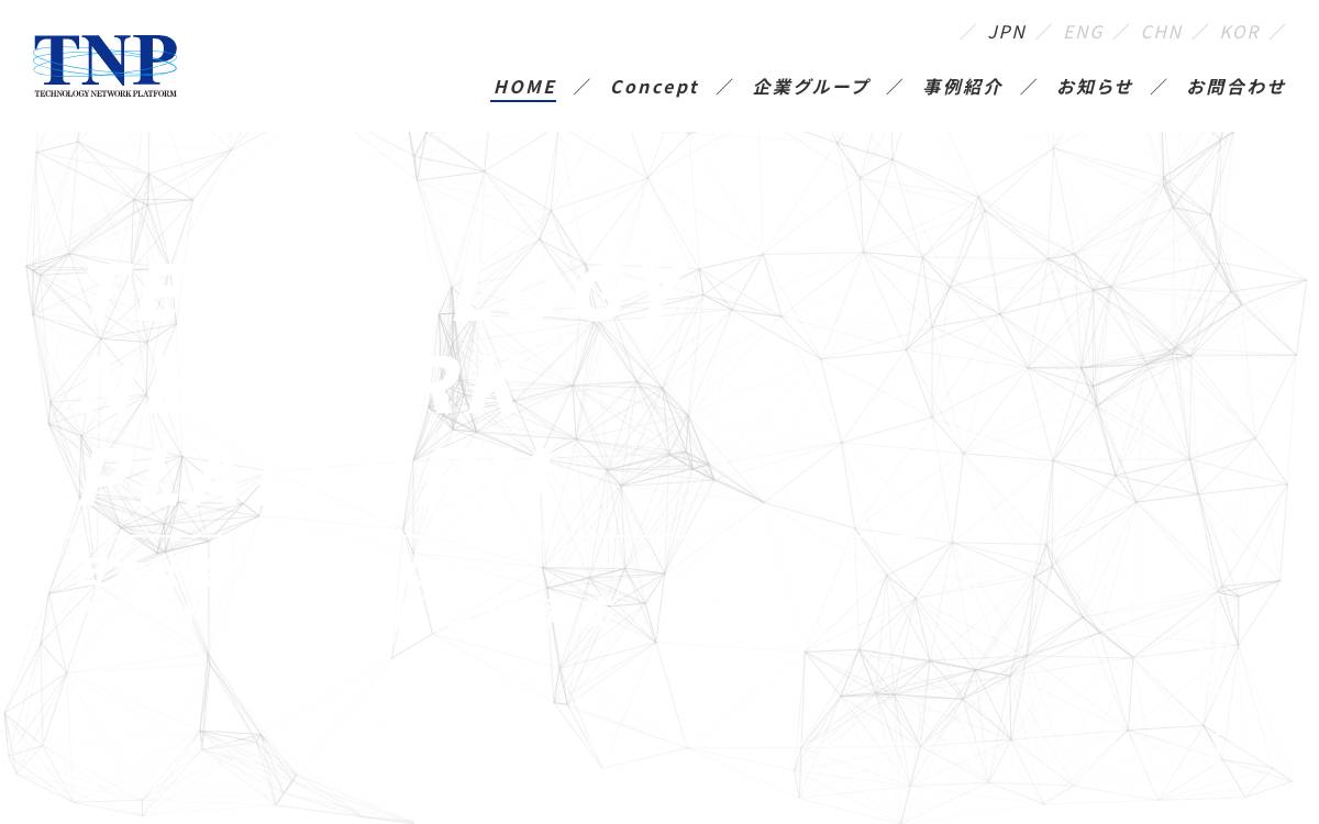 TNP Partners Corporation website preview