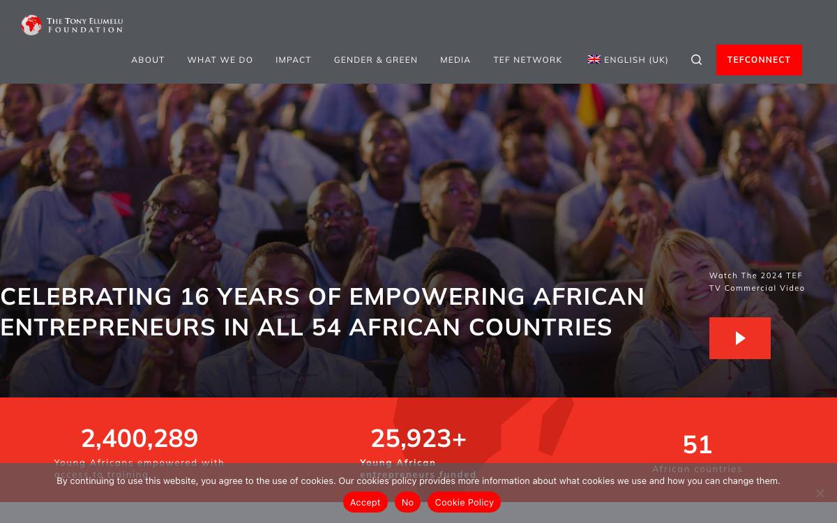 Tony Elumelu Foundation website preview
