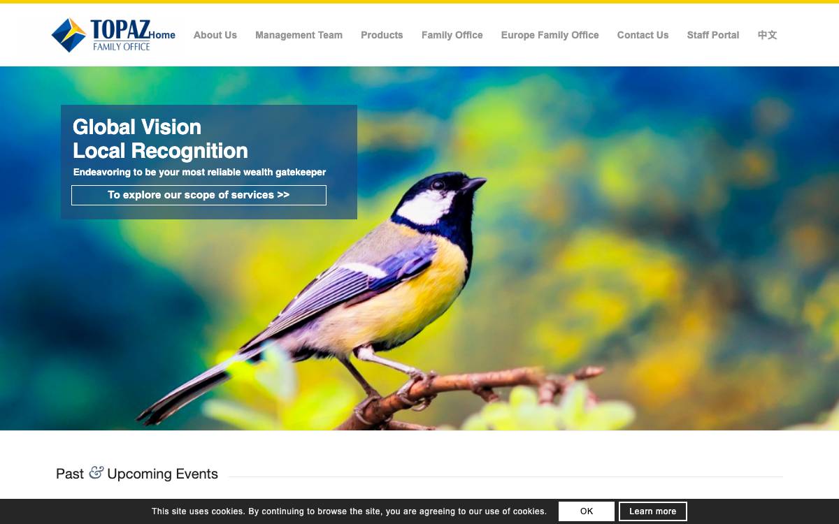 Topaz Investment website preview