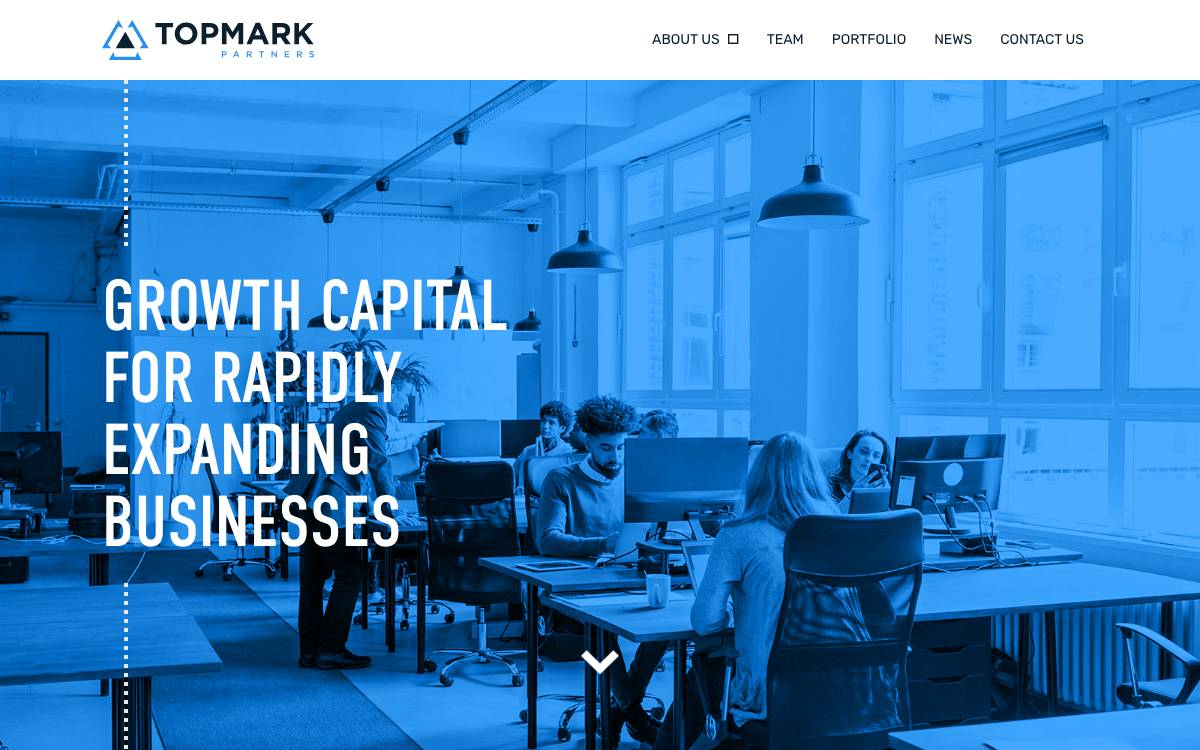 Topmark Partners website preview