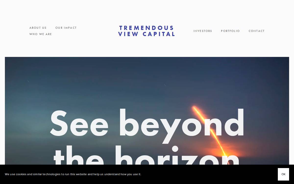 Tremendous View Capital website preview