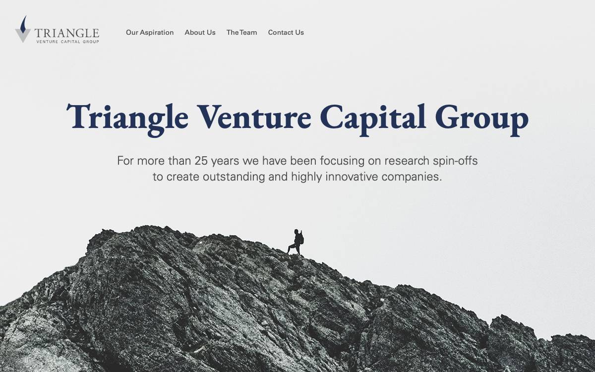 Triangle Venture Capital Group website preview